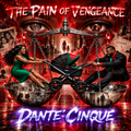The Pain of Vengeance Paperback